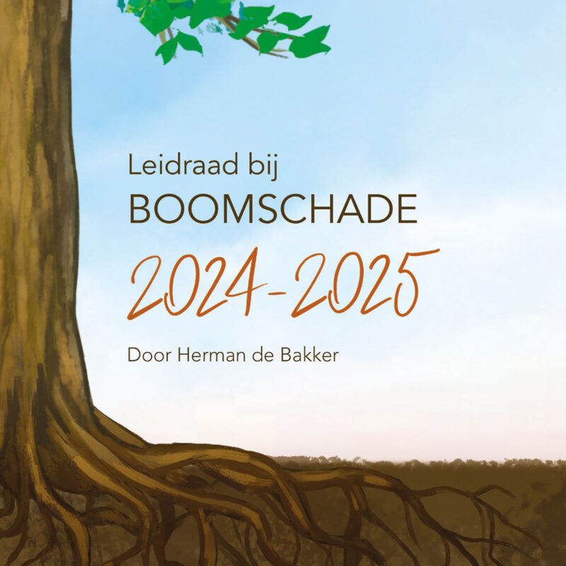 Leidraad bij Boomschade boek