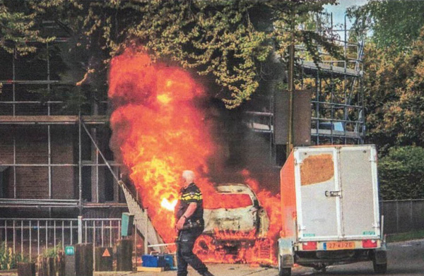 Brand bij monumentale boom