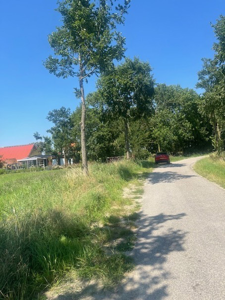 Graafwerkzaamheden en wortelschade