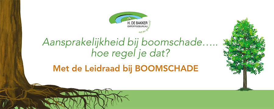 Aansprakelijkheid bij boomschade regel je met de Leidraad bij Boomschade